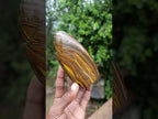 Polished Golden River Tigers Eye Standing Display Piece x 1 From South Africa
