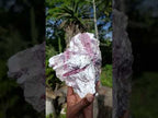 Natural Rubellite Pink Tourmaline in Quartz and Mica Schist x 1 From Karibib, Namibia
