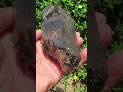 Natural Super Shiny Double Terminated Large Morion Smokey Quartz Crystal x 1 From Zomba, Malawi