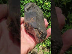 Natural Super Shiny Double Terminated Large Morion Smokey Quartz Crystal x 1 From Zomba, Malawi