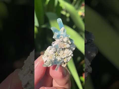 Natural Cluster of Gemmy Aquamarine and Black Tourmaline Specimen x 1 From Erongo, Namibia