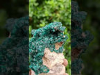 Natural Gorgeous Emerald Green Cabinet Sized Classic Dioptase Specimen x 1 From Tantara Mine, Congo