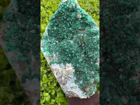 Natural Exquisite XL Dioptase On Dolomite Specimen x 1 From Brazzaville, Congo