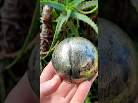 Polished Golden Pyrite "Pharaoh Stone" Sphere x 1 From Iron Duke Mine, Zimbabwe