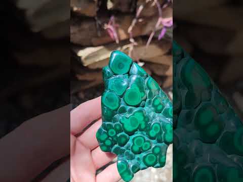 Polished Flower Banded Malachite Free Form x 1 From Congo