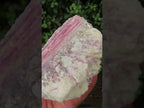 Natural Large Rubellite Pink Tourmaline in Mica and Feldspar Schist x 1 From Karibib, Namibia