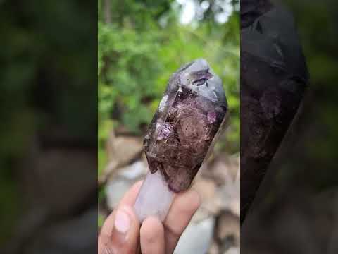 Natural Chiredzi Window Amethyst Scepter Crystal x 1 From Chiredzi, Zimbabwe