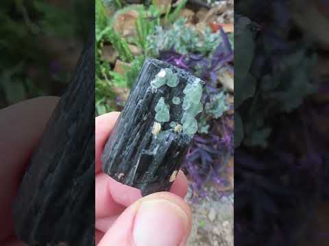 Natural Shiny Schorl Black Tourmaline With Fluorite Specimen x 1 From Erongo, Namibia