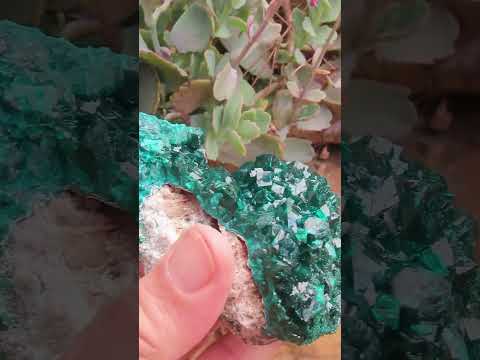 Natural Dioptase Specimen on a Dolomite Matrix x 1 From Likasi, Congo