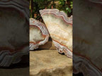 Polished One Side Pair of Red Shashe River Agate Slices with Matching Concentric Ring Patterns x 1 From Shashe River, Zimbabwe