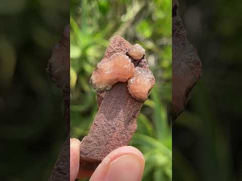 Natural Ultra Rare Olmiite Specimen x 1 From Wessel's Mine, South Africa