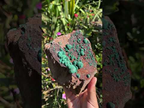 Natural Ball Malachite On Druzy Crystalline Dolomite Matrix Specimen x 1 From Kambove, Congo