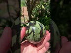 Polished Large Leopard Stone Egg x 1 From Zimbabwe