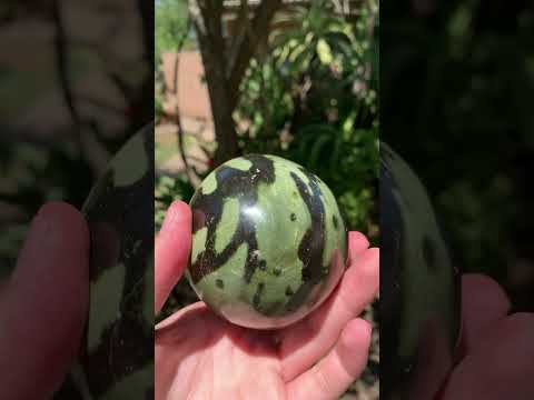 Polished Large Leopard Stone Egg x 1 From Zimbabwe