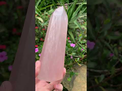 Polished Gemmy Rose Quartz Crystal x 1 From Ambatondrazaka, Madagascar
