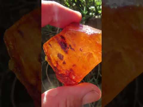 Natural Copal Amber Specimen x 1 From Nosy Varika, Madagascar