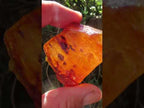 Natural Copal Amber Specimen x 1 From Nosy Varika, Madagascar