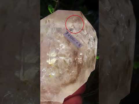 Natural Large Smokey Clear Quartz Crystal With Enhydro x 1 From Goboboseb, Brandberg, Namibia