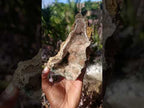 Natural Crystalline Smokey Quartz and Malachite in Dolomite Vug x 1 From Mindingi Mine, Congo