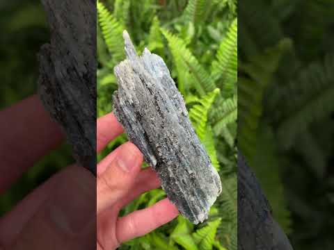 Natural Large Blue Kyanite with Biotite Mica Specimen x 1 From Karoi, Zimbabwe