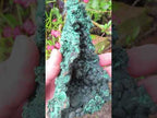 Natural Silky Malachite Specimen with Botryoidal Geode Centre x 1 From Kasompe, Congo