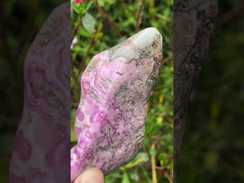 Polished Rare Cobaltion Aragonite on Dolomite Free Form x 1 From Congo