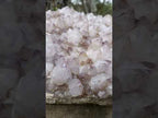 Natural XL Spirit Amethyst Crystal Plate Cluster x 1 From Boekenhouthoek, South Africa