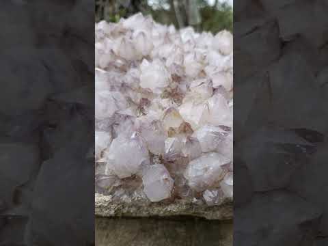 Natural XL Spirit Amethyst Crystal Plate Cluster x 1 From Boekenhouthoek, South Africa