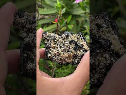 Natural Schorl Black Tourmaline With Vermiculite Specimen x 1 From Erongo, Namibia