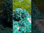 Natural XL Rare Dioptase and Drusy Dolomite Museum Specimen x 1 From Manamba Mine, Congo