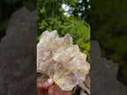 Natural Large Luena Pale Yellow Citrine Cascading Cluster x 1 From Luena, Congo