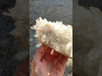 Natural Large Clear Quartz Cluster x 1 From Fianarantsoa, Madagascar