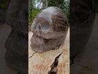 Hand Made Large Smokey Quartz Skull x 1 From Madagascar