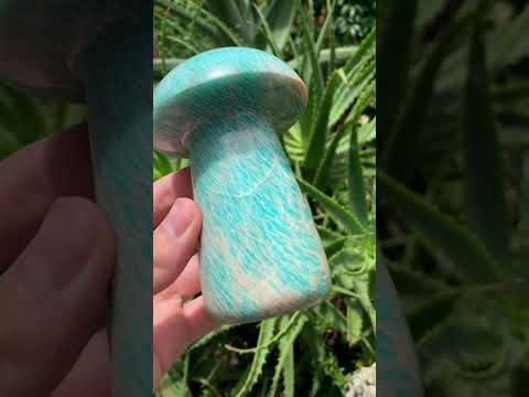 Polished Amazonite Mushroom x 1 From Madagascar