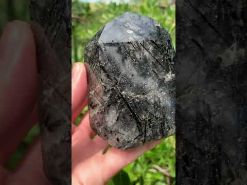 Polished Tourmalinated Inclusion Quartz Crystal x 1 From Madagascar