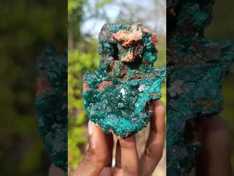 Natural Classic Standing Dioptase Specimen on a Dolomite Matrix x 1 From Mashamba East Mine, Congo