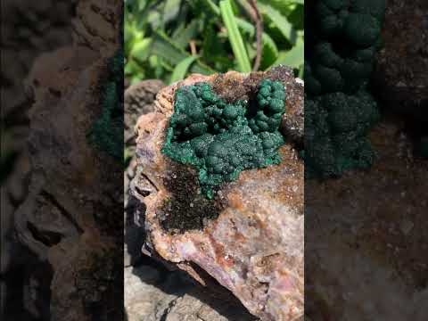 Natural Ball Malachite On Dolomite Matrix Specimen x 1 From Kambove, Congo