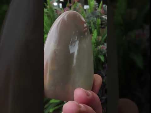 Polished Rare Dragon's Scale Polychrome Jasper Standing Free Form x 1 From Northwest Coast, Madagascar