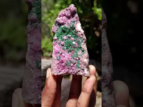 Natural Mixed Set of 6 African Minerals in a Wooden Display Box x 1 From Southern Africa