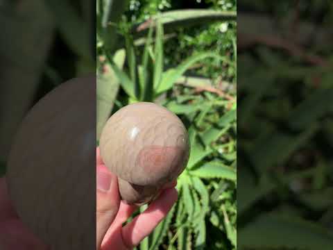 Polished Dragon Scale Polychrome Jasper Mushroom x 1 From Madagascar