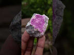 Natural Mixed Set of 20 African Mineral Specimens in a Wooden Display Box x 1 From Southern Africa