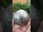 Polished Golden Pyrite "Pharaoh Stone" Sphere x 1 From Iron Duke Mine, Zimbabwe
