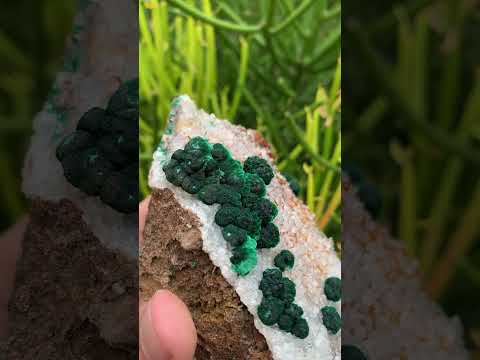 Natural Silky Ball Malachite on Druzy Crystalline Dolomite Matrix Specimen x 1 From Kambove, Congo