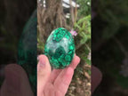Polished Rare Extra Large Flower Banded Malachite Egg x 1 From Congo