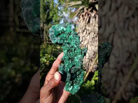 Natural Large Classic Cabinet Size Silky Malachite Specimen x 1 From Kasompe, Congo