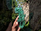 Natural Large Classic Cabinet Size Silky Malachite Specimen x 1 From Kasompe, Congo