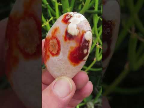 Polished Flower Carnelian Standing Free Form x 1 From Madagascar