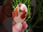 Polished Flower Carnelian Standing Free Form x 1 From Madagascar