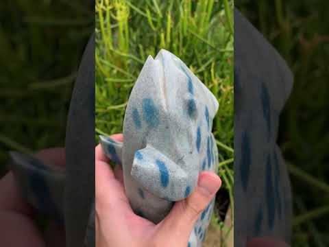 Hand Made Polished Blue Spotted Spinel Chameleon Carving x 1 From Madagascar