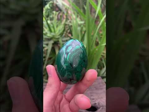 Polished Rare Extra Large Flower Banded Malachite Egg x 1 From Congo